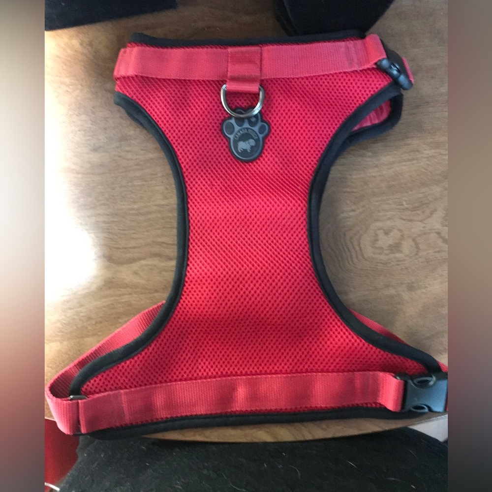 Red mesh dog harness